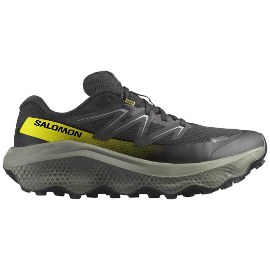 Salomon Ultra Flow 2 GTX